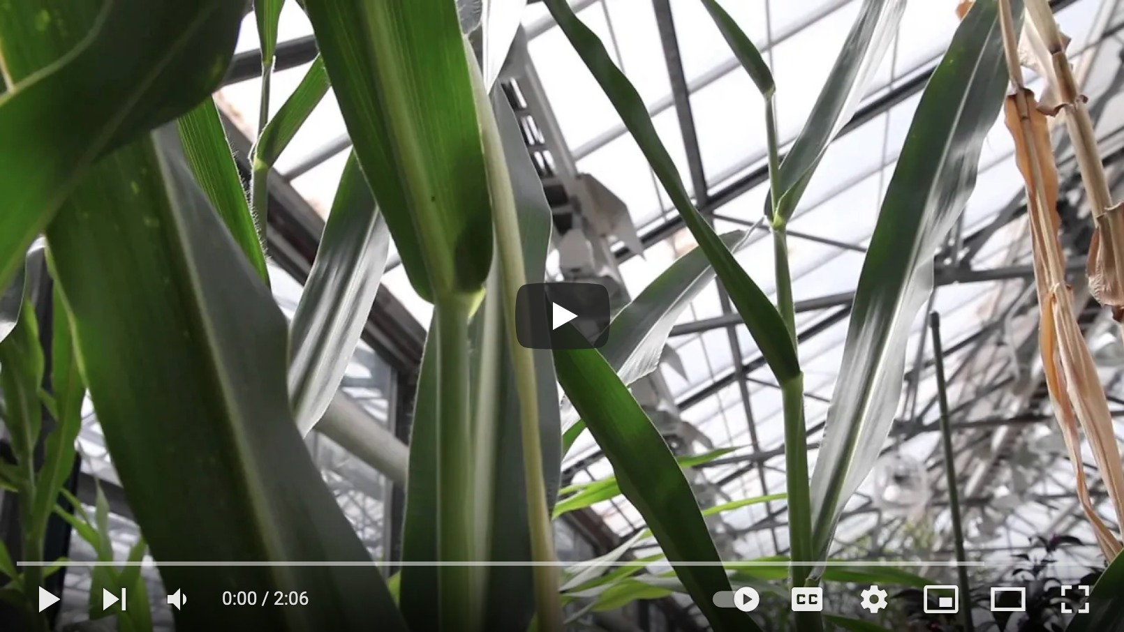 Biotech-Driven Agriculture