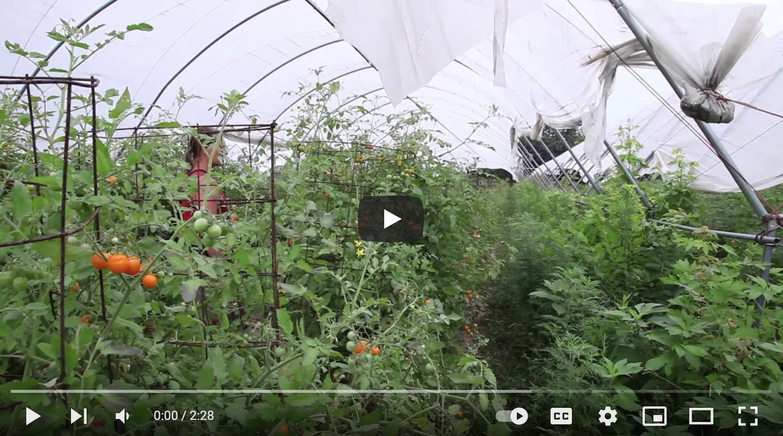 Organic Farming: Biver Farm